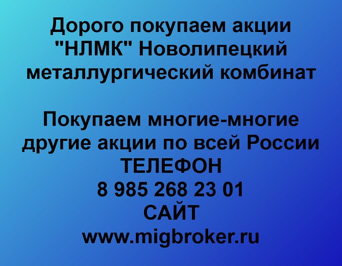 Покупка акций НЛМК Продать акции Ревда - изображение 1