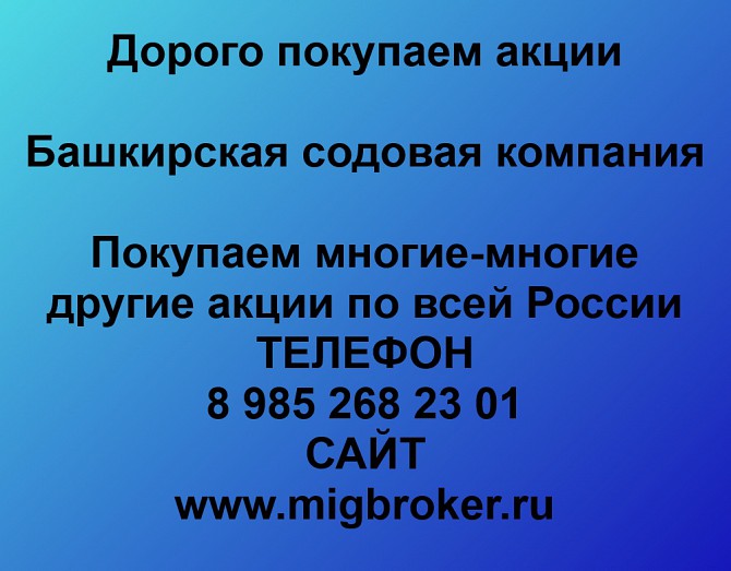 Покупка акций Башкирская содовая компания Продать акции дорого Ревда - изображение 1