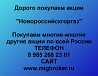 Покупаем акции ОАО Новороссийскгоргаз и любые другие акции по всей России Ревда