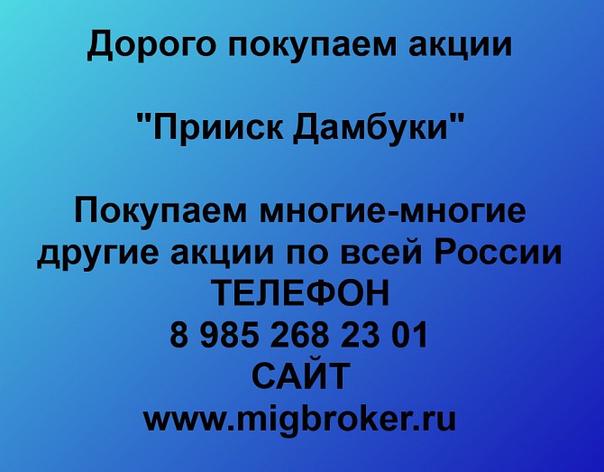 Покупаем акции Прииск Дамбуки и любые другие акции по всей России Ревда - изображение 1