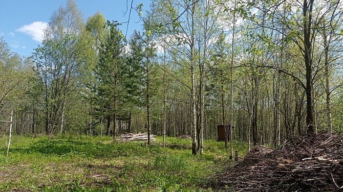Продажа земельного участка Ревда - изображение 1