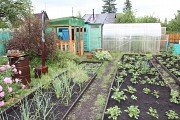 Продам садовый участок 386 кв.м. Екатеринбург