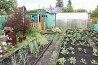 Продам садовый участок 386 кв.м. Екатеринбург