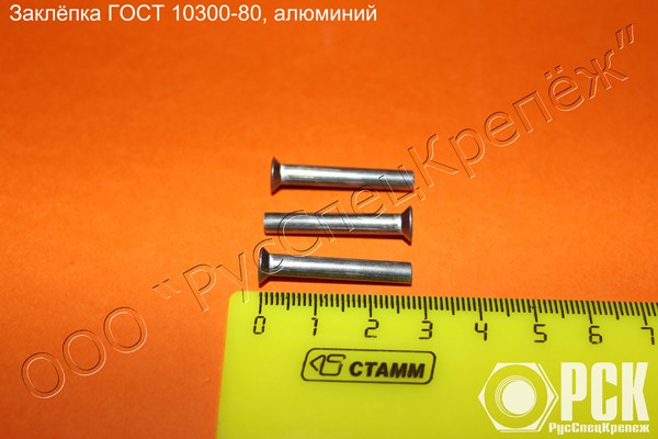 Заклепка с потайной головой ГОСТ 10300-80 Екатеринбург - изображение 1