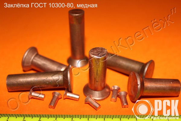 Заклепки из сплавов Л63, БрАЖ, М3 Екатеринбург - изображение 1