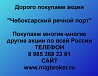 Купим акции «Чебоксарский речной порт» по выгодной цене! Ревда