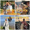 Мощное магическое воздействие приворот Тамбов Гадание Присушки Чёрное венчание 1 000 руб. Потомстве Ревда