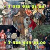 Сильный ( Рунический Приворот ) На Любовь Вашего Человека к Вам! Верну Вам Вашего Человека! Русская. Екатеринбург